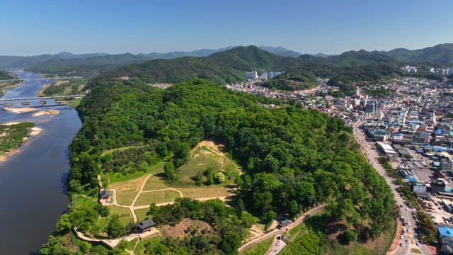 Lush green forest with a serene river