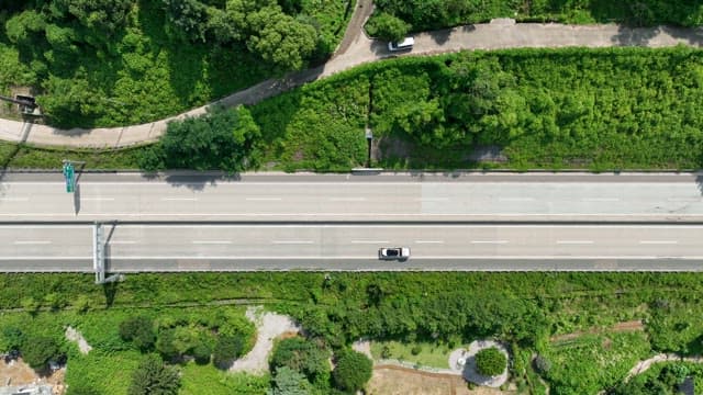 Quiet Highway Between Lush Greenery