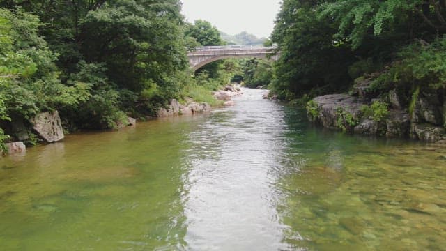 Tranquil river flowing under a bridge