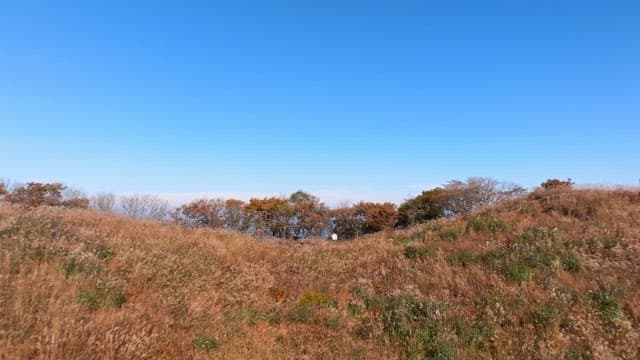 Serene Landscape of Autumn Hills