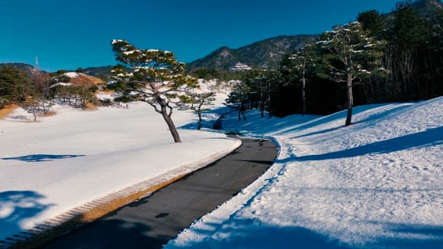 Curving Road through a Snowy Mountain Landscape