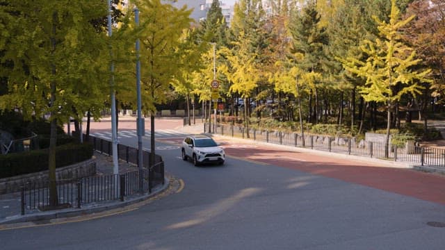 Car driving on a tree-lined urban road