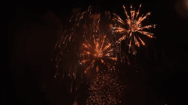 Fireworks lighting up the night sky