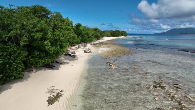 Pristine beach with clear blue waters