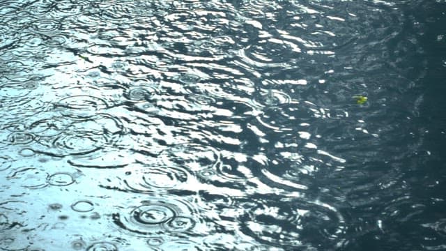 Raindrops creating ripples on water