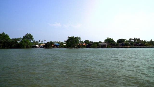 Tranquil riverside village with tropical trees on a sunny day