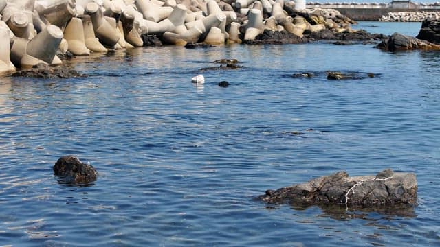 Diver in the sea near breakwaters