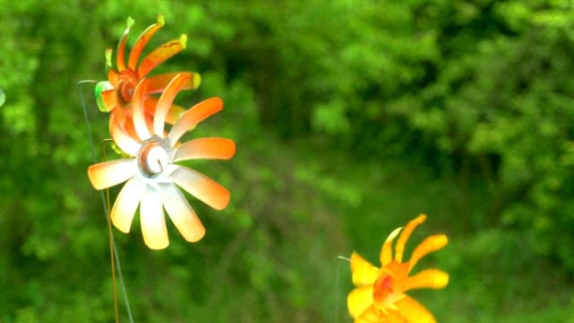 Colorful pinwheels spinning in a lush green forest