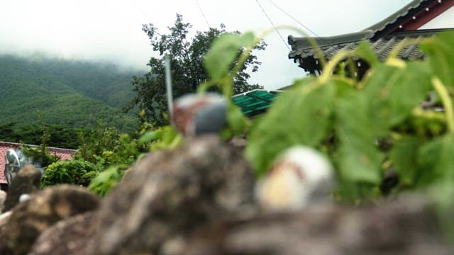 Stones with pictures on a stone wall with misty mountains in the background