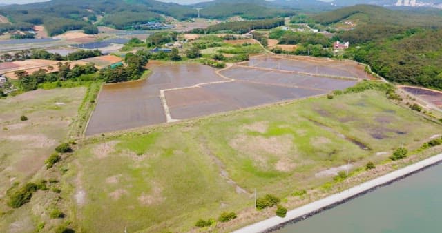 Expansive rice paddies in rural landscape