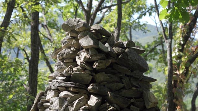 Stone tower in the midst of a lush green forest