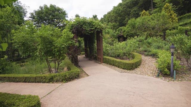 Serene Walkway Surrounded by Greenery