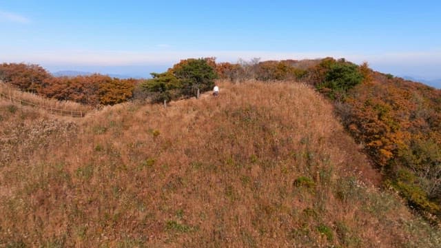 Autumn Foliage Covering Mountain Landscape