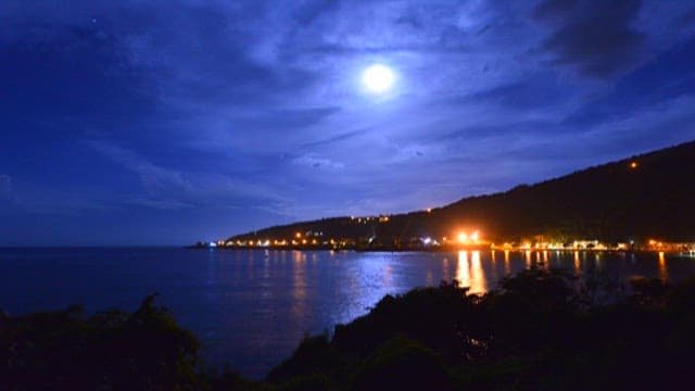 Moonlit Coastal Landscape at Night