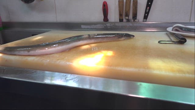 Eel on a Cutting Board