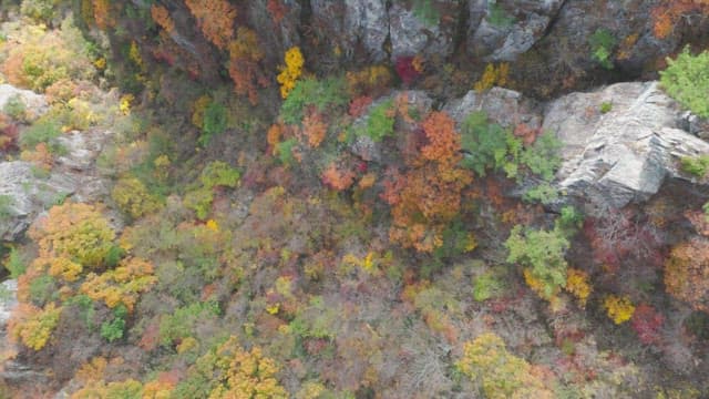 Colorful autumn forest with rocky cliffs