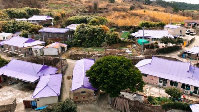 Rural village with purple-roofed houses