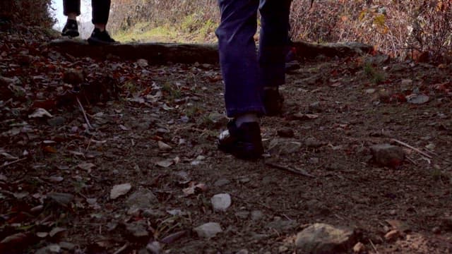 People Walking up Secluded Rocky Trail in the Forest