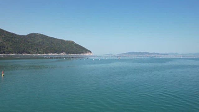 Sunny day sea farm scenery