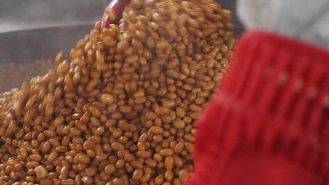 Hands wearing red rubber gloves preparing boiled soybeans in a large pot