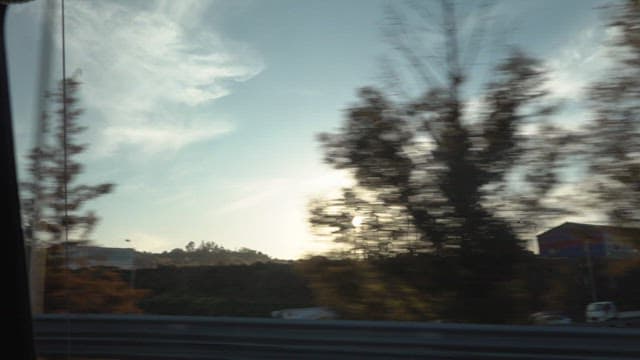 Car passing by on a tree-lined road at sunset