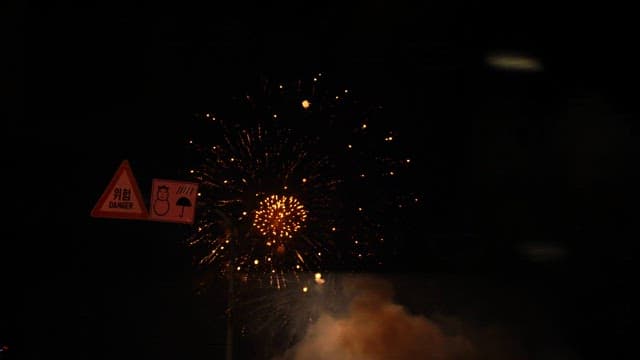 Fireworks lighting up the night sky