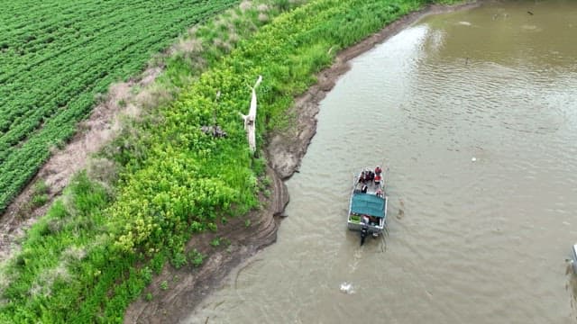 Boat sailing along a river where carp frolic near a dam covered with bushes