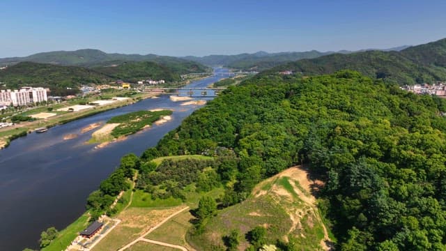 Serene river flowing through a green forest