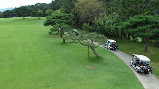 Golfers Riding Carts on a Green Course