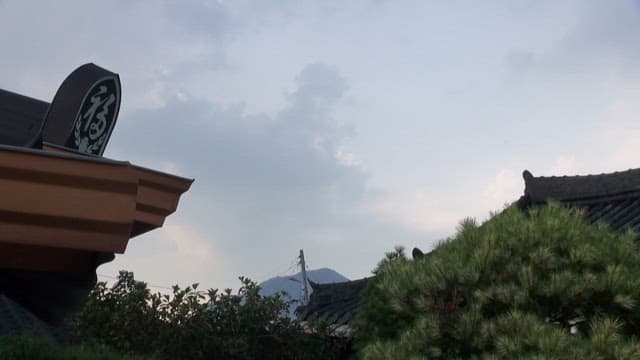 Traditional Korean roof with pine trees and cloudy sky