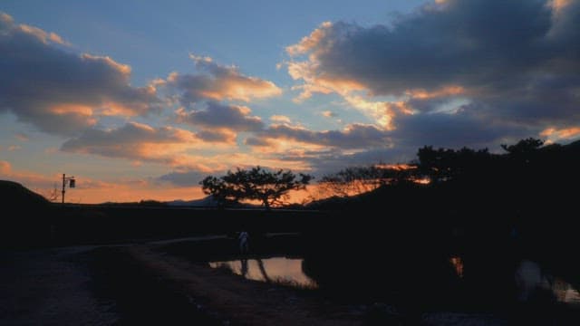 Evening scene with sunset reflecting on a small pond and a tree silhouette