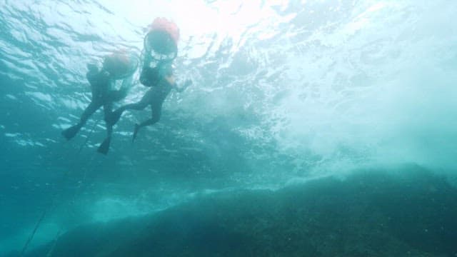 Female divers swimming in the sea holding a fishing net