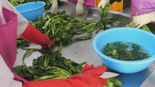 Rubber gloved hands holding and cutting the vegetables