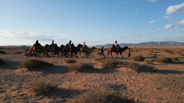 People riding camels in a vast desert