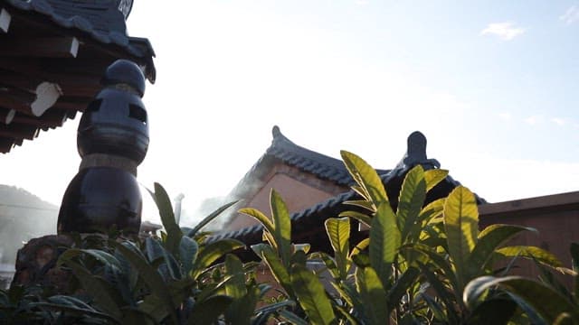 Traditional Korean house with sunlight