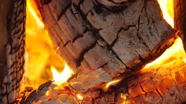 Intimate Flames Engulfing Rugged Wood Logs
