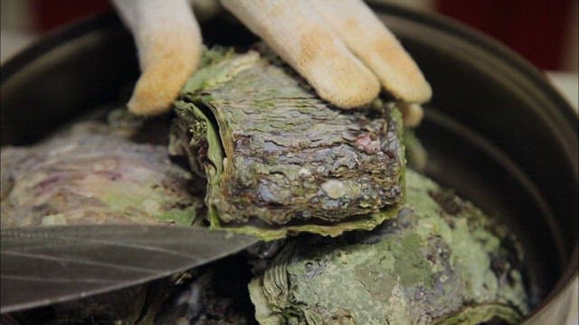 Opening fresh oysters with a knife