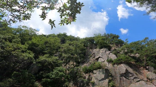Clear valley in the forest under the blue sky