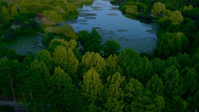 Lush Park whit Lake in the City