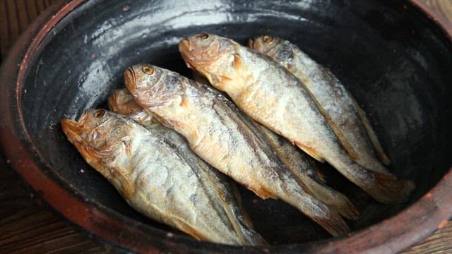 Fish being preserved in a jar with barley