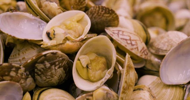 Clams that Have Been Remove Sediment for Cooking