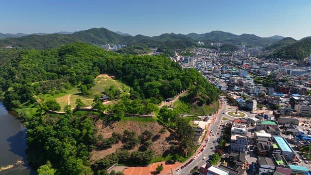 Lush green forest with a city in the background