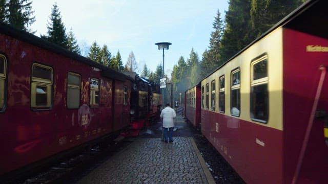 Steam train entering a platform with passengers