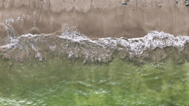 Waves gently crashing on a sandy beach