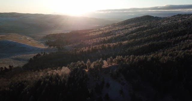 Sunrise over a forested mountain range
