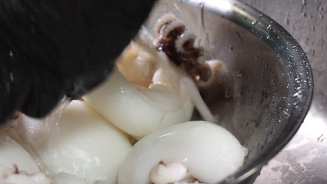 Cooking squid preparation in a kitchen