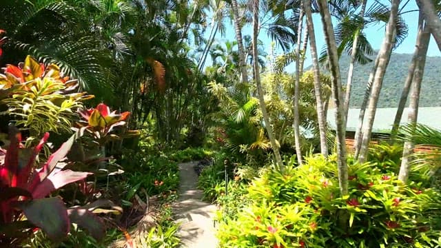 Lush tropical gardens leading to the accommodation
