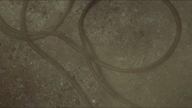 Hose on the Ground and Firefighter's Uniform