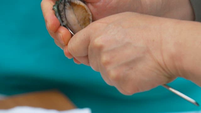 Shucking and preaparing an abalone shell by hand