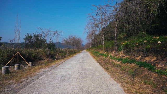 Quiet, deserted path in rural nature under a clear blue sky